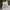 Nike Streetwear Casual Sweatshirt Pria green photo 6