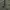 Tommy Hilfiger Outerwear Kids green photo 5