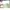 Adidas Streetwear Casual shoe Pria green white photo 4