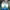 Adidas Streetwear Casual shoe Pria green white photo 2