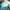 Adidas Streetwear Casual shoe Pria green white photo 1