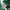 Adidas Vintage Y2K T-shirt Pria white green photo 6