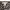 H&M Vintage Y2K Skirt Wanita white tan photo 6