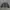 Y2K Skater Cardigan Pria black gray photo 1
