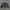 Y2K Skater Cardigan Pria black gray photo 5