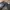 OOTJ Vintage Y2K Pria navy tan photo 4