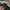 Timberland Casual Hoody Pria multicolor black photo 3