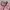 Arc'teryx Streetwear Gorpcore Fleece Pria pink photo 2