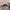 Arc'teryx Streetwear Gorpcore Fleece Pria pink photo 7