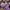 The North Face Casual Windbreaker Pria purple photo 5