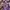 The North Face Casual Windbreaker Pria purple photo 7