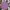 The North Face Casual Windbreaker Pria purple photo 1