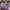 The North Face Casual Windbreaker Pria purple photo 8