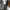 Le Coq Sportif Streetwear Sportswear Casual pants Pria gray photo 1