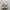 Asics Casual Sneakers Pria white photo 4