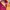Kappa Sportswear Jersey Pria orange red photo 5