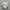New Balance Casual Sneakers Wanita white photo 1
