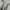 Salomon Sportswear Sneakers Pria gray photo 2