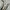 Salomon Sportswear Sneakers Pria Gray