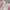 Puma Casual Sneakers Wanita pink photo 2