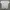 Y2K Crop top Wanita white black photo 1
