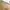 Luxury Futurist Bags & purse Wanita gold photo 7