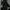 DOHC Vintage Streetwear Pria black photo 3