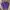 Polo Ralph Lauren Minimalist Casual Crop Top Wanita Purple