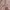 Vintage Y2K Hoody Pria white pink photo 2
