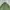 Sergio Tacchini Vintage Casual Windbreaker Pria green photo 3