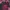 Emo Coquette Going Out Dress Wanita Pink Black
