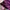 Emo Coquette Going Out Dress Wanita Pink Black