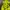 Streetwear Reworked Jumper Pria multicolor green photo 3
