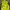 Streetwear Reworked Jumper Pria multicolor green photo 6