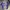 Streetwear Reworked T-shirt Pria multicolor blue photo 2