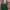Vintage Y2K Bags & purse Wanita burgundy green photo 2