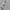 Coquette Casual Cardigan Kids white photo 4