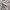 Coquette Casual Cardigan Kids white photo 5