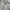 Coquette Casual Cardigan Kids white photo 2