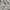 Coquette Casual Cardigan Kids White