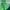 Nike Sportswear Hoody Pria green blue photo 1