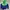 Nike Sportswear Hoody Pria Green Blue