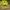 Sportswear Sneakers Pria Green