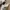 Adidas Casual Sneakers Wanita white gray photo 2