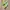 Adidas Casual Sneakers Wanita green photo 1