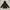 Millet Outerwear Kids yellow black photo 1