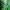 Streetwear Y2K Sweatpants & Joggers Pria green photo 4