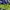 Phenix Outerwear Kids multicolor blue photo 6