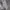 Champion Streetwear Y2K Hoody Pria gray photo 2
