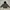 K-Way Outerwear Kids White Black